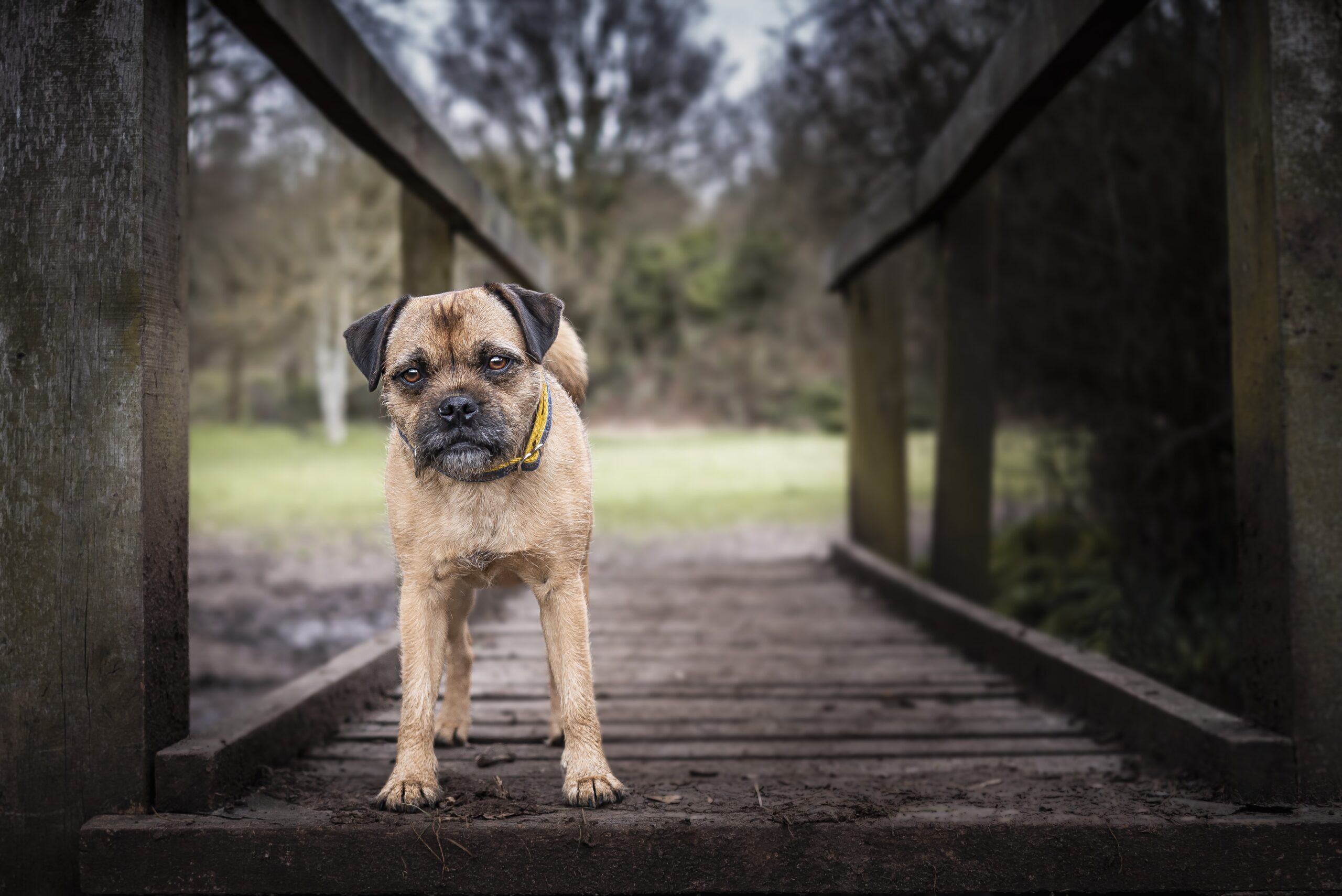 photography photo session in surrey